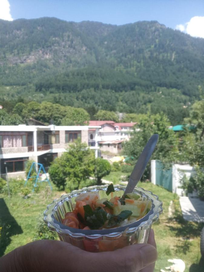 Tourist Hotel 10 Minutes Walking Distance From The Mall Manali  Luaran gambar